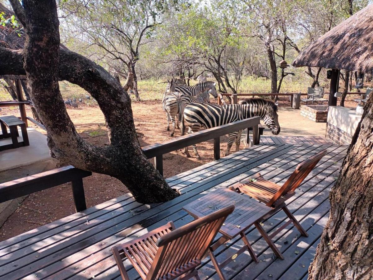South Safari Lodge Marloth Park Exterior foto